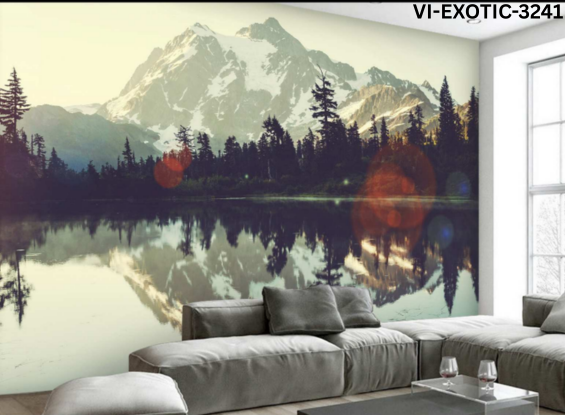 VI-EXOTIC-3241